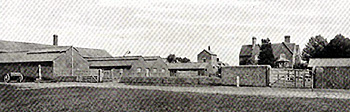 Westfield Farm in 1918 [AD1147-18]